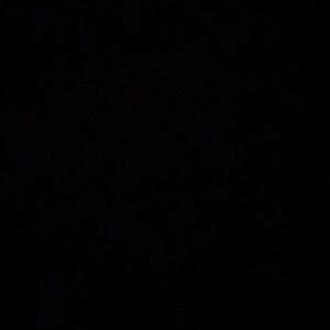 Meet your Posher, Mackenzie